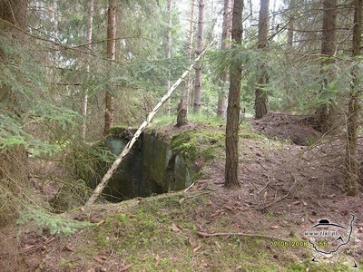 tl447